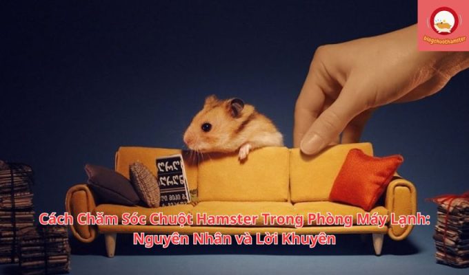 Cách Chăm Sóc Chuột Hamster Trong Phòng Máy Lạnh: Nguyên Nhân và Lời Khuyên