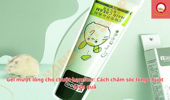 Gel mượt lông cho chuột hamster: Cách chăm sóc lông chuột hiệu quả