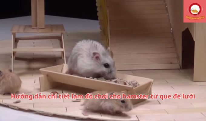 Hướng dẫn chi tiết làm đồ chơi cho hamster từ que đè lưỡi