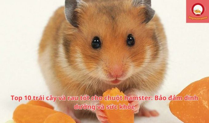 Top 10 trái cây và rau tốt cho chuột hamster: Bảo đảm dinh dưỡng và sức khỏe