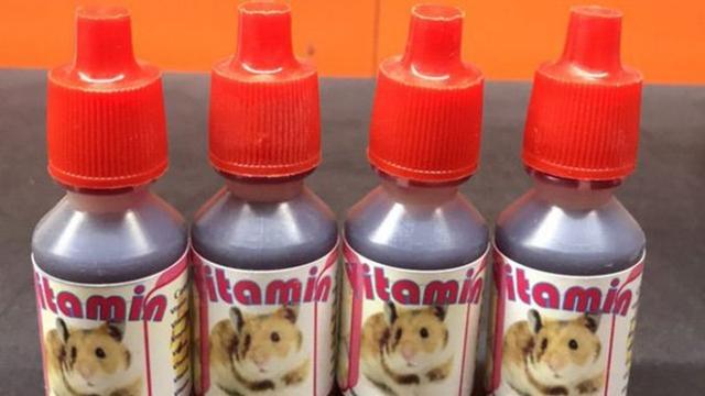 Cách chọn lựa và sử dụng đúng cách vitamin cho chuột Hamster